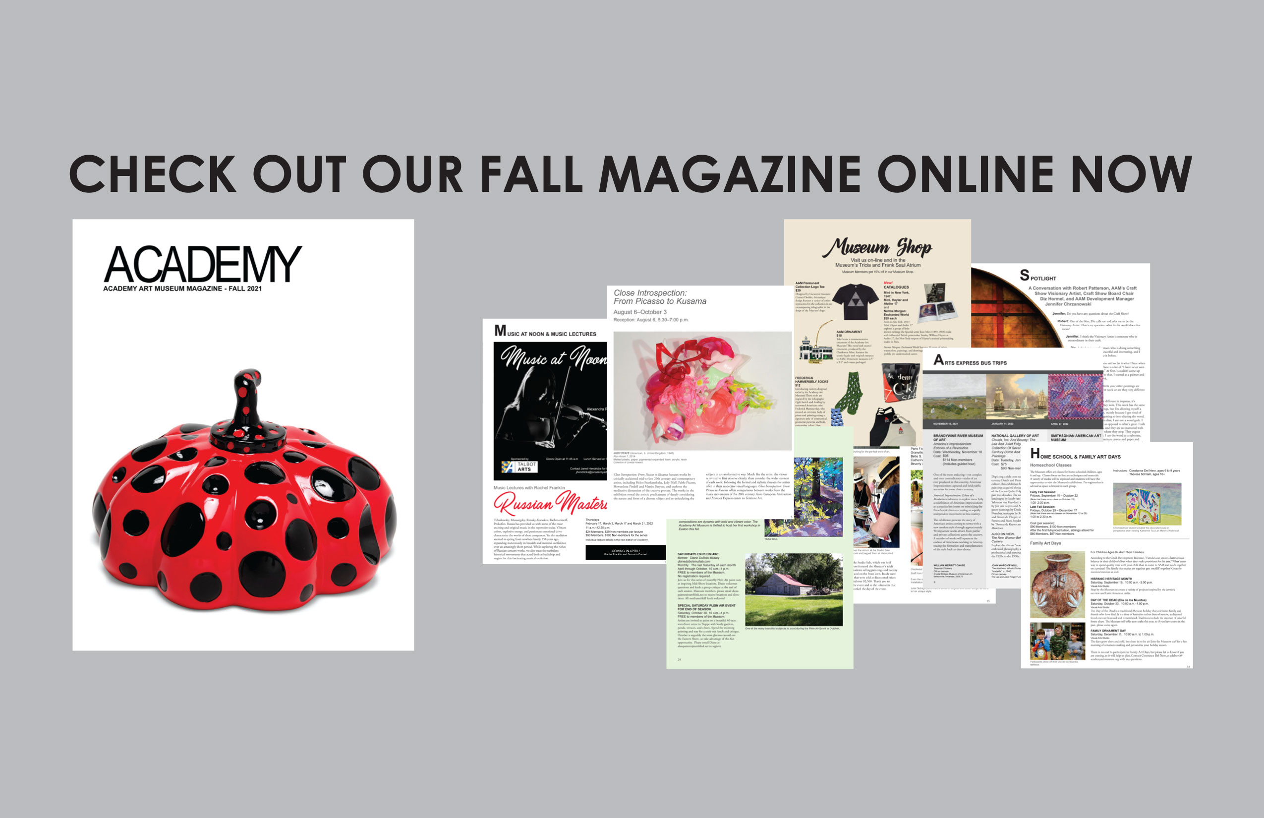 Academy Art MuseumEaston, MD